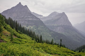The mist starts to clear after rain during summer at Paradise Meadow on Big Bend along GTTSR in the mountains of Glacier National Park, Montana, USA