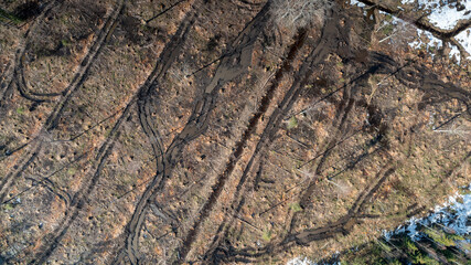 Aerial view to the woodland, badly suffered from unsustainable forest cutting and forest soil destruction by using heavy machinery during the non-frozen season