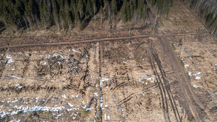 Aerial view to the woodland, badly suffered from unsustainable forest cutting and forest soil...