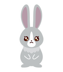 ウサギ　うるうる