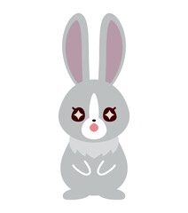 Fototapeta premium ウサギ キラキラ