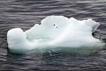 Antarctica - Pieces Of Floating Ice - Global Warming