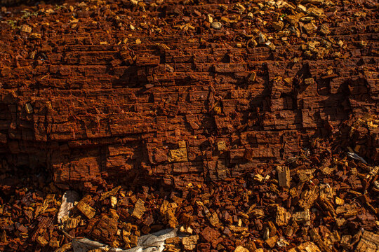 This is a terracotta wood texture.
