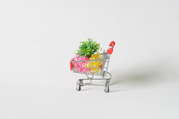 Small toy cart from the supermarket with colorful spring seedlings. Concept of buying seedlings in store and supermarket. Hobbies gardening and plant growing. Copyspace. Central composition © slexp880