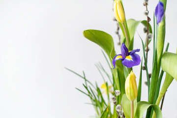 Elegant floral spring, Easter composition of irises, tulips, daffodils and willow twigs located on a table located against a white wall in daylight.