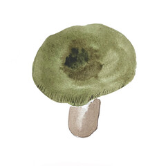 watercolor illustration of russula green, hand drawn. watercolor mushrooms - obrazy, fototapety, plakaty