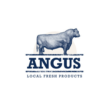 Black Angus Cow Engraving Illustration. Fresh Local Farm Food Design Element. Ranch Bull Vector Sign 