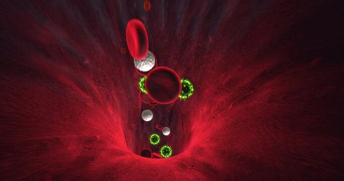 Infected Human Body. Viruses Flowing Inside Of Human Vein. Perfect Loop. Science And Health Related 3D Animation.