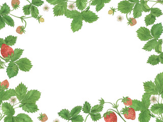 Strawberry frame, hand drawn with watercolor. Summer illustration