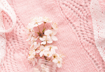 cherry blossoms in a small glass vase on a delicate pink knitted background