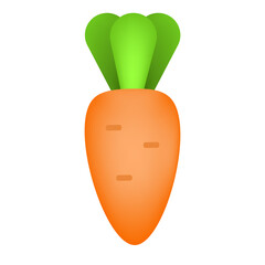 Carrot. Illustration of vegetables. Vegetarian food.