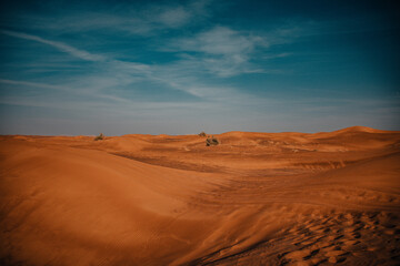Fototapeta na wymiar Sundown in desert. Red sand desert background.