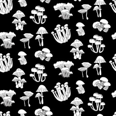 Vector seamless half-drop pattern, with cactus