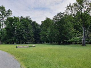 Wisentgehege Springe (Germany)