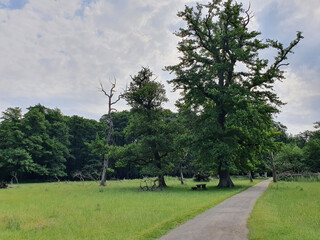 Wisentgehege Springe (Germany)