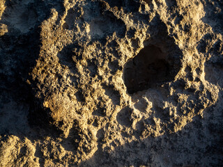 imagen textura de roca erosionada por el mar con la luz del atardecer