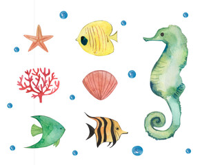 Collection of marine fish, seahorse, coral, shell, watercolor illustration isolated on a white background