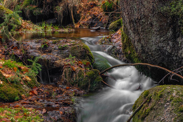 Cerveny creek with Cerveny waterfall in Jizerske mountains in spring morning