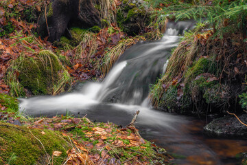 Cerveny creek with Cerveny waterfall in Jizerske mountains in spring morning
