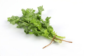 Fresh green coriander on a white background, bunched together, is a fragrant edible herb. It is used for cooking and decorating food.
