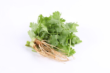 Sliced coriander leaves and coriander roots placed on a white background. It is an edible herb that smells good. Used for cooking and decorating food.