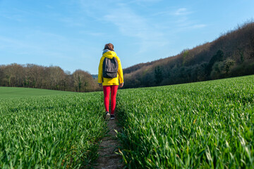 Rear view of a woman hiker walking through a lush green field. - obrazy, fototapety, plakaty