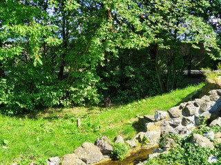 Wisentgehege Springe (Germany)