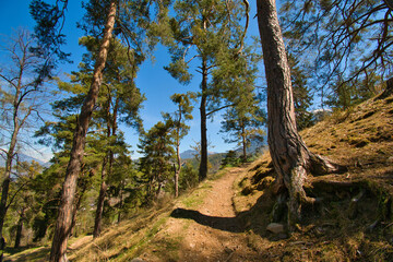 Landschaft um Völs am Schlern in Südtirol