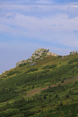 Fototapeta na wymiar Landscape in the Carpathians in Western Ukraine, near the Dzembronya village