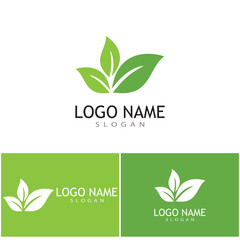 Leaf icon Vector Illustration design Logo template