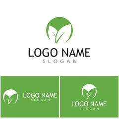 Leaf icon Vector Illustration design Logo template
