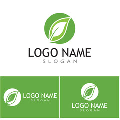 Leaf icon Vector Illustration design Logo template