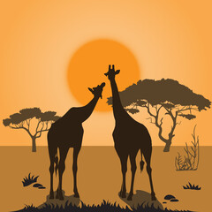 Fototapeta na wymiar African landscape at sunset