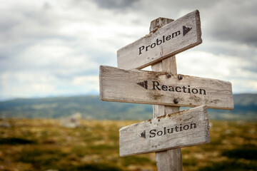 problem reaction solution text quote written in wooden signpost outdoors in nature. Moody theme...