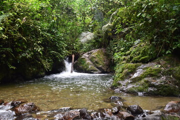 Salento Paisaje Agua Rio Llacimiento verde © Andres Fernando