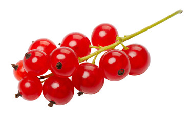 Red currant berries