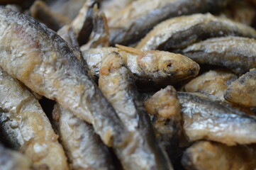 Fried fish Euroropean sprat or sardine, a small and tasty fish caught in the Irish Sea, the Black Sea, the Baltic Sea and the Sea of the Hebrides.