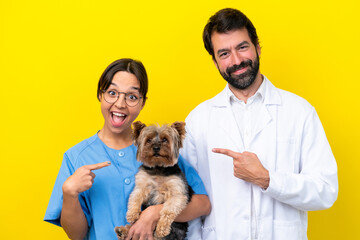 Young veterinarian couple with dog isolated on yellow background