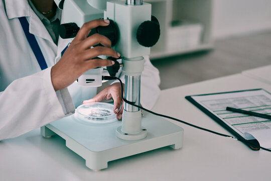 Nothing Remains Hidden Under The Microscope Light. Cropped Shot Of An Unrecognizable Female Scientist Using A Microscope While Working In A Laboratory.