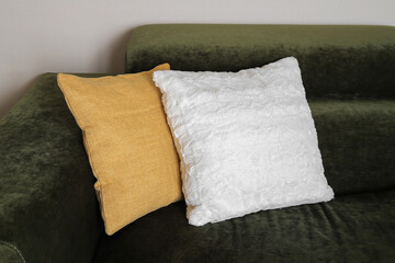 Two decorative pillows on the sofa