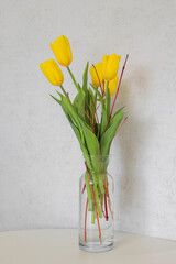 Flowers yellow tulips in a vase