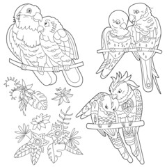 Contour linear illustration for coloring book with decorative parrot. Beautiful bird, anti stress picture. Line art design for adult or kids in zen-tangle style, tatoo and coloring page.