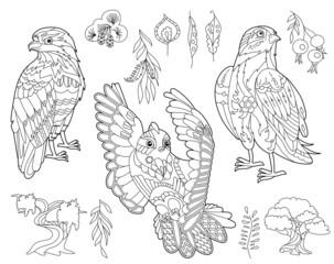 Contour linear illustration for coloring book with decorative falkon. Beautiful predatory bird, anti stress picture. Line art design for adult or kids in zen-tangle style, tatoo and coloring page.