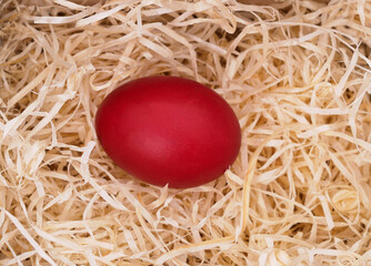 Red easter egg on wood shavings.