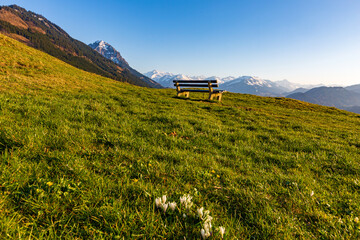 Allgäu - Alpen - Berge - Bank - Panorama - Frühling 