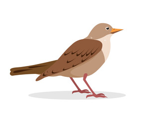 Nightingale or starling bird icon isolated on white background. Flat or cartoon song nightingale vector illustration for nature ornitology design.