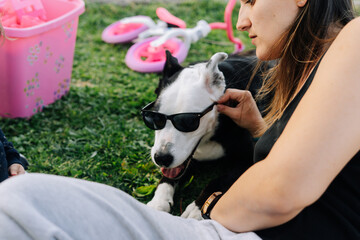 Woman putting sunglasses on her dog