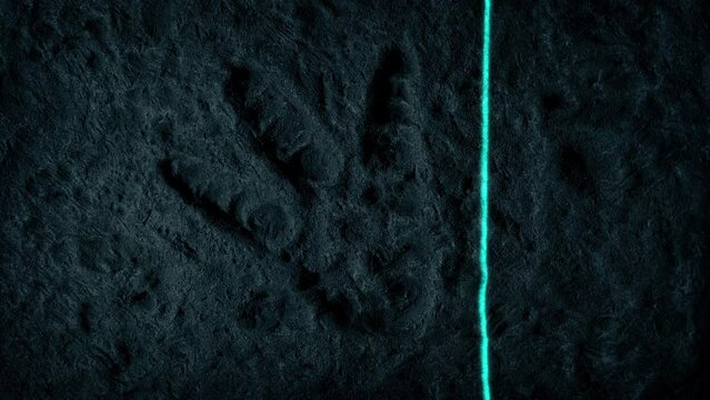 Laser Scanning A Dinosaur Footprint 3D Imaging