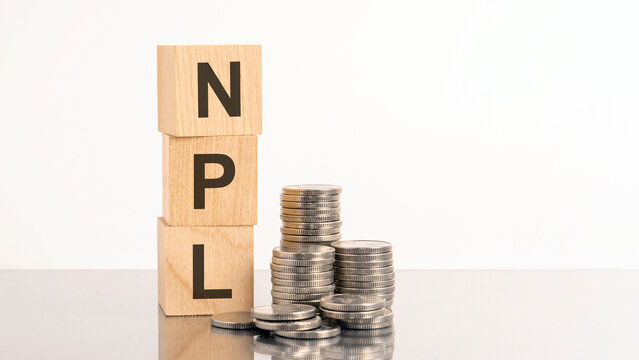 npl - text on wooden cubes on white background with coins