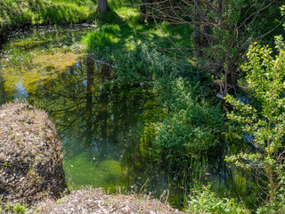 Vistas verdes de las aguas del río en la reserva Natural del Sabinar de Calatañazor, en Soria, España, verano de 2021 © acaballero67
